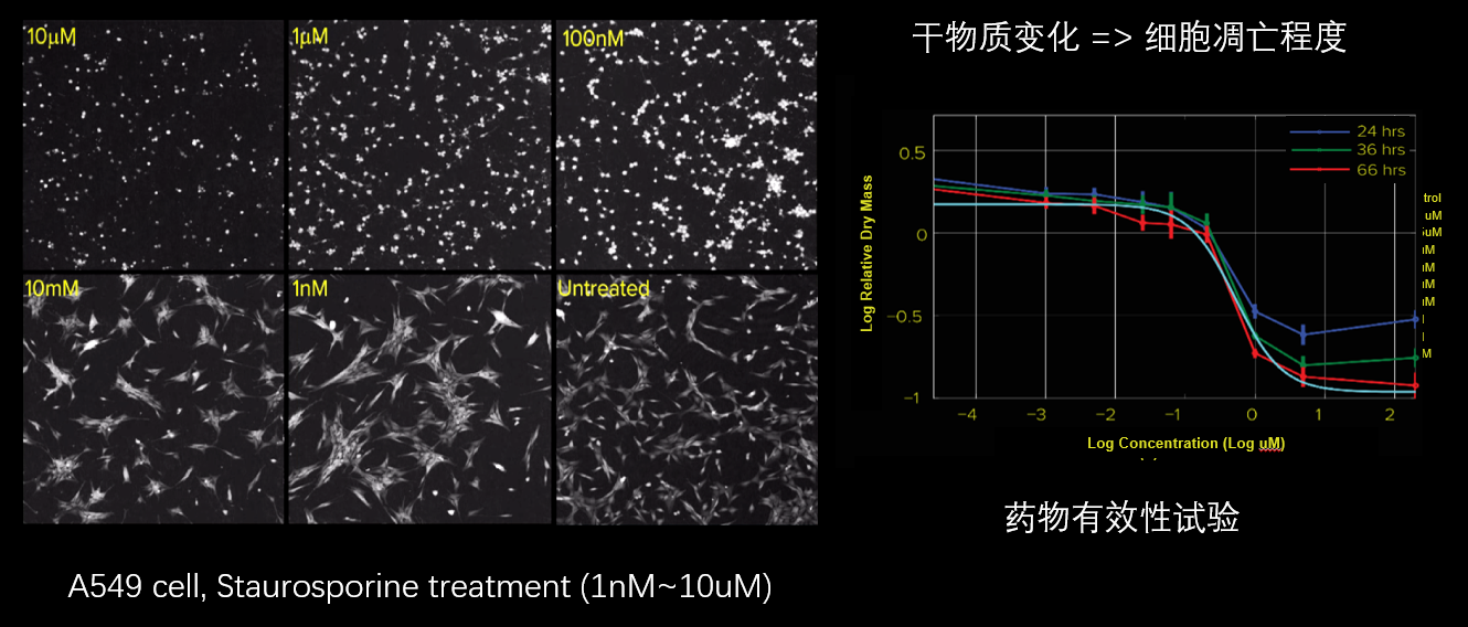5、細(xì)胞毒性分析.png